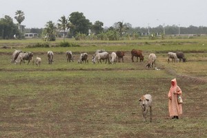 Illustrative image (Source: Bangkok Post)