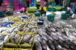 Duty-free treatment will be revoked for all Thailand’s seafood exports to the US over labour issues. (Photo: Reuters)
