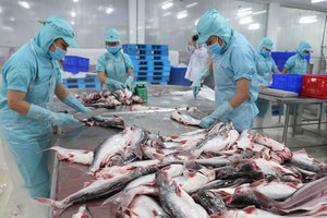 Workers preparing fish for further processing at a plant belonging to Sao Mai Group in the southern province of Dong Thap (Photo: VNA/VNS)