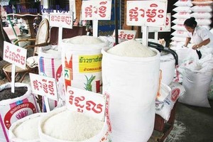 Cambodia exported 398,586 tonnes of the food grain in the first nine months of 2019, up 2.3 percent year on year (Photo: The Phnom Penh Post)