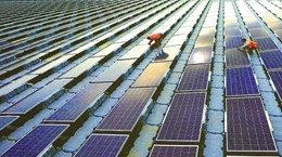 Thailand postpones commercial operations of 14 renewable power plants