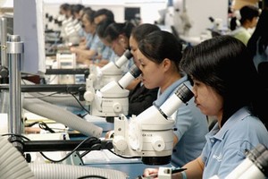 Once the EVFTA comes into effect, the EU will eliminate import tariffs for nearly 86 percent of the tariff lines and over 99 percent of tariff lines will be lifted after seven years (Illustrative image)