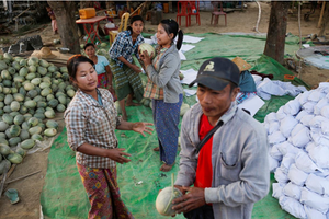 Myanmar watermelon farmers (Photo: Reuters)