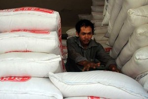 Cambodian rice exports to international markets grew by more than 21 percent in the first two months of this year (Photo: www.phnompenhpost.com)