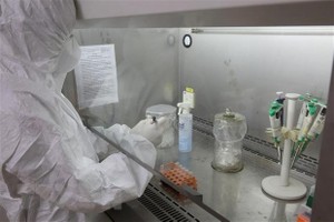 So far, Vietnam has reported 57 infection cases, of whom 16 fully recovered. (Source: VNA)