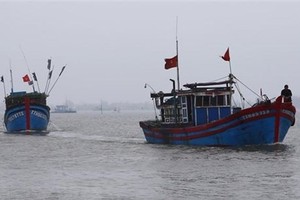 Vietnamese fishing boats - Illustrative image (Photo: VNA)