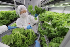 Illustrative image (Photo: https://www.straitstimes.com/)