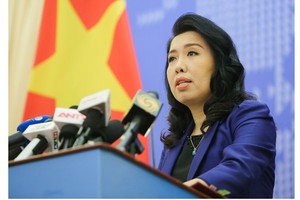 Foreign Ministry’s spokeswoman Le Thi Thu Hang (Photo: VNA)