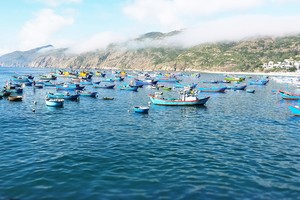 Boats are always ready to sail as soon as there is news of large schools of fish off the coast.