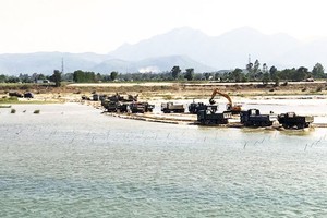 Illegal sand miners deploy heavy machineries on Tra Khuc River (Quang Ngai Province)