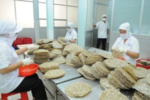 Processing seafood for export