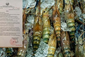 Laos has temporarily banned the import of seafood from Thailand after a new outbreak of COVID-19 hit the kingdom (Photo: laotiantimes.com)