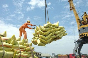 Illustrative photo. (Source: SGGP)