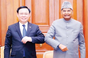 NA Chairman Vuong Dinh Hue meets Indian President