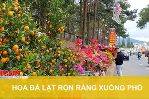 Hoa Đà Lạt rộn ràng xuống phố