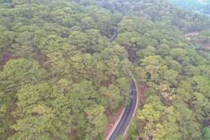 Prenn Pass upgrade, expansion to last 11 months