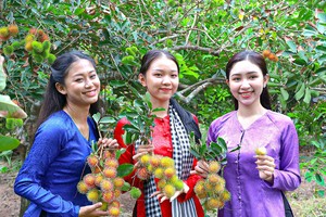 Mekong Delta enters biggest fruit harvest