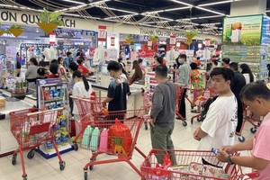 Many highlights brighten in economic landscape of HCMC 