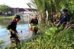 Vietnamese students learn about environmental protection