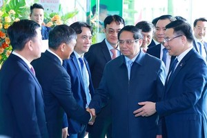 PM urges Petrovietnam to restructure into national industrial-energy group 