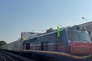 China–Vietnam rail freight soars in January