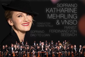 Concert to celebrate Vietnam-Germany ties take place on February 28