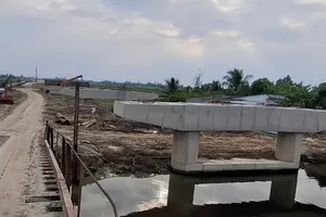 Deputy PMs debate with Mekong Delta localities on backlog issues