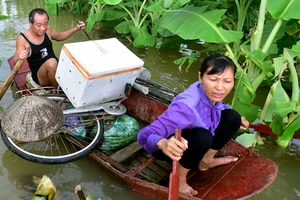 Nước sông Hồng dâng cao
