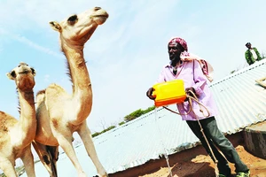 Hầm nước tại làng Carro - Yaambo, Somalia