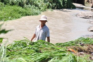 Khu vực cháu T. bị cuốn trôi