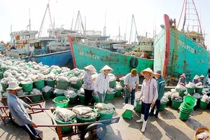 EC đánh giá cao nỗ lực khắc phục IUU của Bình Định