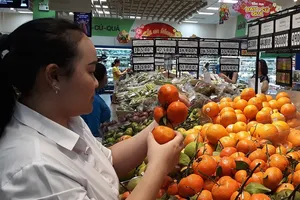 Đặc sản Tết các vùng miền đều có tại Co.opmart.