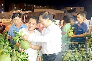 Giá nhiều loại rau củ quả có thể giảm dịp cận tết