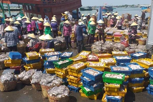 Chung tay ngăn chặn đánh bắt hải sản trái phép