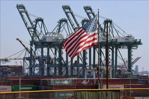 Container hàng hóa được xếp dỡ tại cảng Long Beach, Los Angeles, Mỹ. Ảnh: AFP/TTXVN