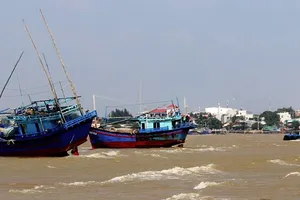 Thiệt hại tiền tỷ khi tàu bị mắc cạn
