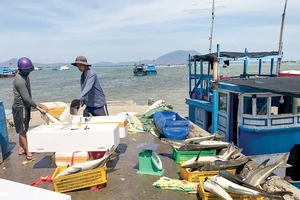 Hiện nay, nhiều tàu cá đánh bắt gần bờ thường không có ghi chép nhật ký, truy xuất nguồn gốc sản phẩm đánh bắt