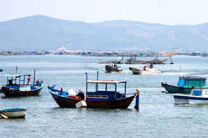 Khó quản lý lồng bè trên Vịnh Xuân Đài