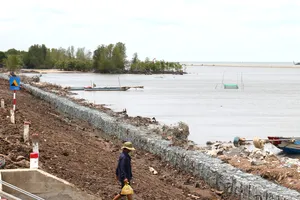 Hộ đê khẩn cấp tại các điểm sạt lở nguy hiểm trên tuyến đê biển Tây. Ảnh: TẤN THÁI