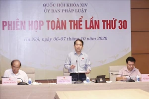 Chủ nhiệm Ủy ban Pháp luật của Quốc hội Hoàng Thanh Tùng phát biểu. Ảnh: TTXVN