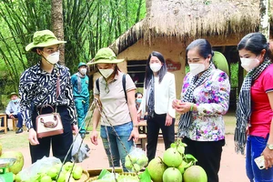 TPHCM thí điểm đón khách đến Cần Giờ, Củ Chi: An toàn vẫn trên hết