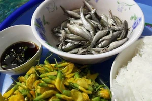 Tin đâu như sét đánh ngang: Quà cá linh