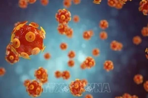 Hình ảnh mô phỏng virus gây bệnh viêm gan. 