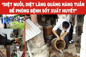 Lập đội xung kích diệt bọ gậy ở tất cả quận huyện