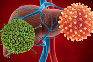 Adenovirus đang khiến cho nhiều trẻ nhỏ mắc bệnh, có nguy cơ bùng phát thành dịch