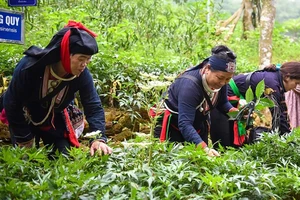  Đồng bào dân tộc thiểu số ở Hà Nội được quan tâm kịp thời, hỗ trợ hiệu quả