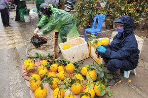 Tấp nập, đủ đầy và rực rỡ chợ quê ngày giáp tết 