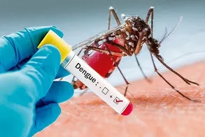 Bộ Y tế yêu cầu giám sát chặt chẽ sự biến đổi của các chủng virus gây sốt xuất huyết