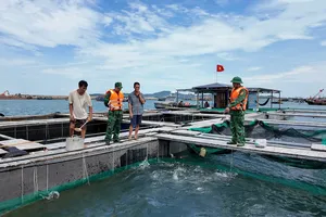 Quảng Ninh: Bão số 11 áp sát, đặc khu Cô Tô ứng phó khẩn cấp