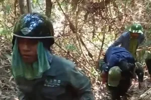 Lực lượng chữa cháy rừng đưa ông N.V.C. đi cấp cứu do bị bỏng nặng